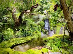 -Chom Cafe and Restaurant