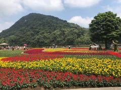-广州市石门国家森林公园
