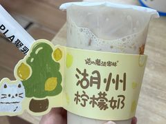 -猫的魔法密林(衣裳街店)