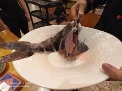 -新凯里酸汤鱼(飞山街店)