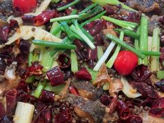 -老板恋上鱼(恒隆广场店)