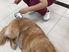 -美联众合动物医院·24h京西诊疗中心