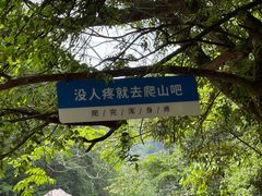 -石台牯牛降景区