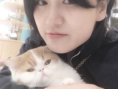 -飞行喵MR PILOT|猫舍·猫咖(静安大融城店)