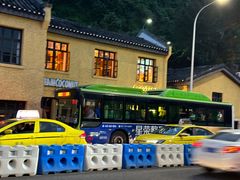 -李子坝梁山鸡(李子坝大鸡哥店)