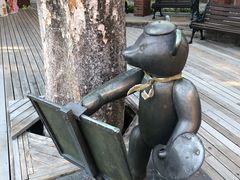 -伊豆泰迪熊博物馆