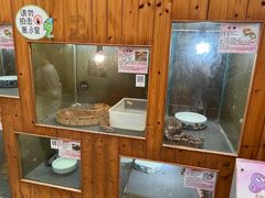 -上海大自然野生昆虫馆(东方明珠·爬宠昆虫探索中心)