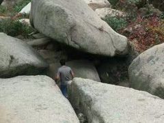 -鲁山国家森林公园