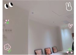 -紫御国际抗衰ZOE ANTI AGING