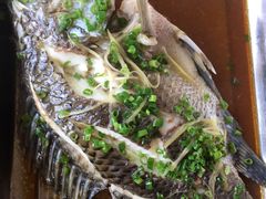 清蒸水库罗非鱼-邹记·美食(斗门店)