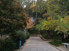 -西安市长乐公园