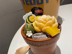 -哈根达斯(龙湖时代天街店)