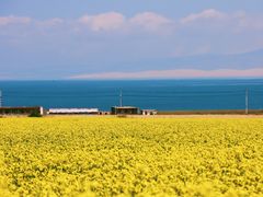 -青海湖国家重点风景名胜区