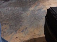 -虹桥机场国航贵宾室v8