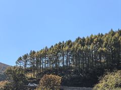 -白草畔自然风景区