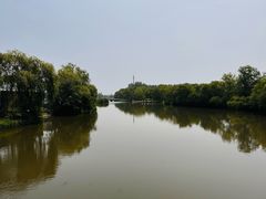 -溱湖国家湿地公园