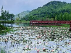 -广州市石门国家森林公园