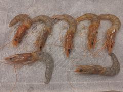 -玫瑰花园自助烤肉(金源店)