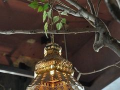 -漫咖啡MAANCOFFEE(人大店)