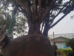 -一寨两国风景区