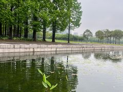 -尚贤河湿地