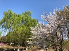 -白塘生态植物园