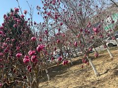 -稻香湖景欢乐岛温泉城堡