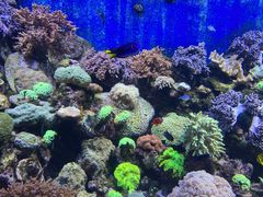 -珠海长隆海洋王国