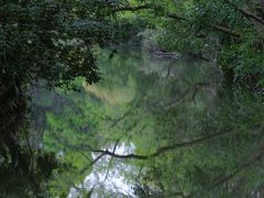 -上海滨江森林公园