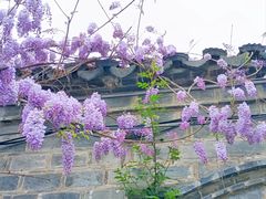 -老门东历史文化街区