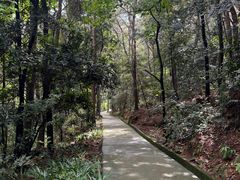 景点-铁山坪森林公园