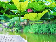 -承德避暑山庄景区