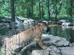 -北京野生动物园