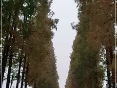 -青城山