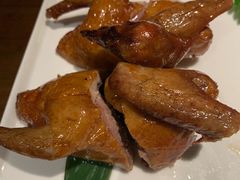 -燕郊烧鸽子(广安路店)