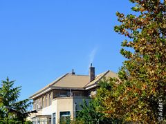 -天正河鲀·河豚亭(大连店)