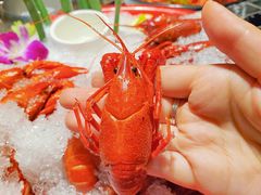 -红辣椒·川菜·火锅(张杨路店)