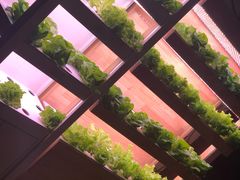 -满堂欢豆捞坊(美丽华大酒店店)