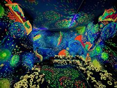 -梵高星空艺术馆(北京旗舰店)