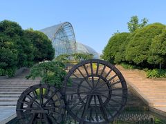 -南山植物园