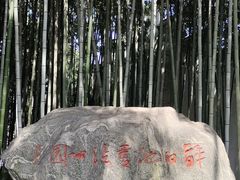 -上海醉白池公园