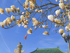 -国家图书馆·古籍馆