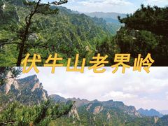 -中国西峡恐龙遗迹园