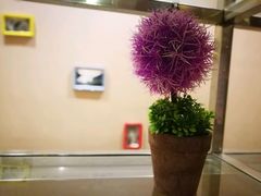 -笃笃笃糖粥(十全街店)