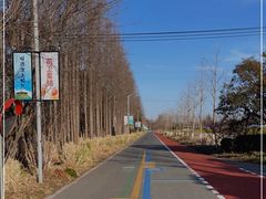 -上海长兴岛郊野公园