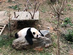 -南宁市动物园