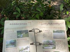 -九龙寨城公园