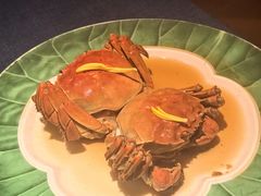 -老吉堂上海本帮菜(工体店)