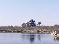 -上海海湾国家森林公园