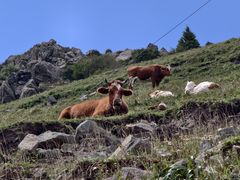 -灵山